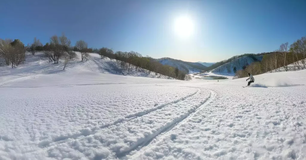 留壽都春滑雪況 玉米雪 