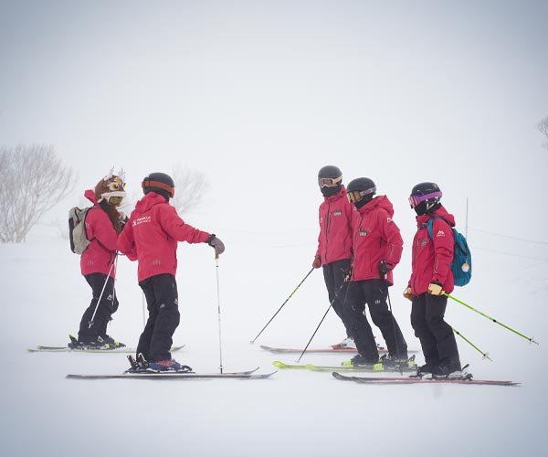 Pinnaacle粉雪 樹林 進階技術｜北海道二世古 Niseko｜地形導覽